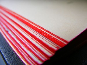 biblioteca 215 copy.jpg